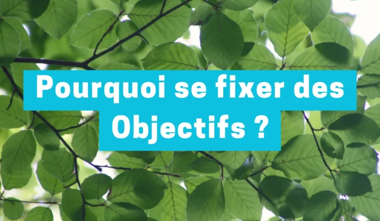 se fixer des objectifs